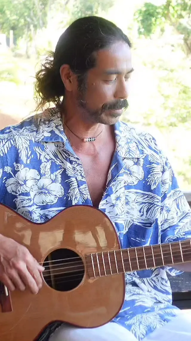 T-REEF Surfboard Kauai Surf Tr...